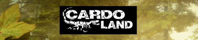 http://www.cardoland.com/